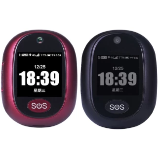 Трекер GPS V45 Tracker Pendant with display SIM (4GLTE with 2GGSM fallback) 6000mAh фото 1 з 1