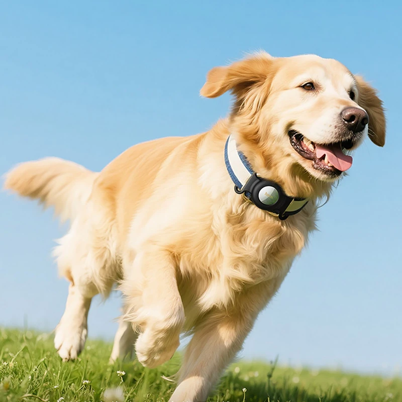 Трекер Hoco E91C Tiger для ошейника 230 mAh – White. Фото 5 з 5