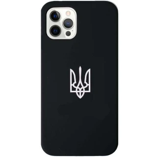 Патриотический чехол Silicone Case для Apple iPhone 13 Pro Max (6.7") фото 1 из 1
