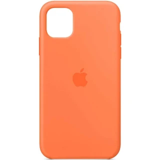 Чехол Silicone Case с закрытым низом для Apple iPhone 12 Pro Max (6.7") фото 1 из 1