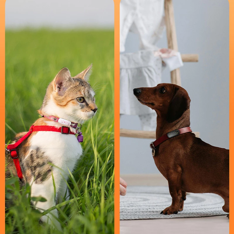 Трекер GPS для тварин V53 Pet Tracker SIM (4GLTE) 900mAh фото 3 з 3