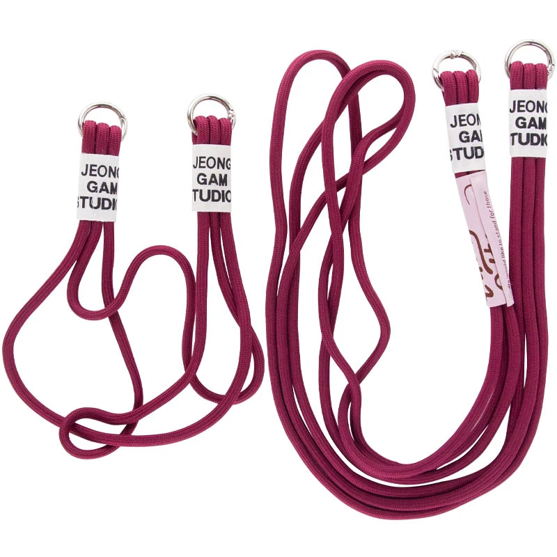 Чохол TPU two straps California на Apple iPhone 13 Pro Max (6.7") – Червоний / Rose Red. Фото 5 з 6