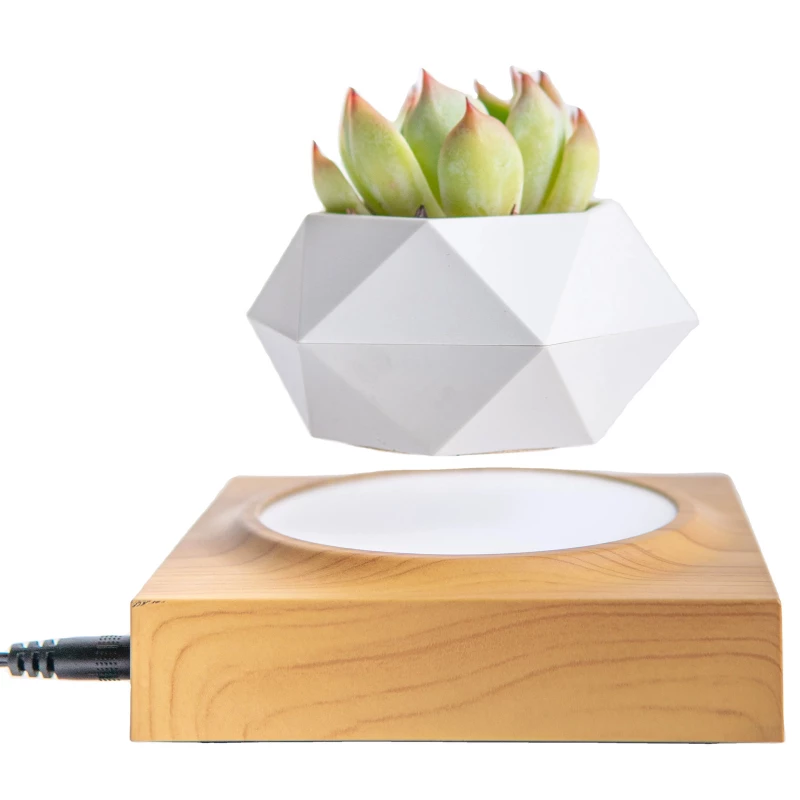 Магнітний левітаційний вазон для квітів HCNT Magnetic Levitating Pot M10-FP – Wood Grain. Фото 1 з 6