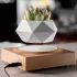 Магнітний левітаційний вазон для квітів HCNT Magnetic Levitating Pot M10-FP – Wood Grain. Фото 3 з 6