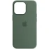 Чохол Silicone case (AAA) with Magsafe and Animation для Apple iPhone 13 Pro (6.1") – Зелений / Eucalyptus. Фото 2 з 3