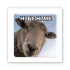 Стікер 3D до 5см Animal Collection – Ні бе ні ме. Фото 2 з 4