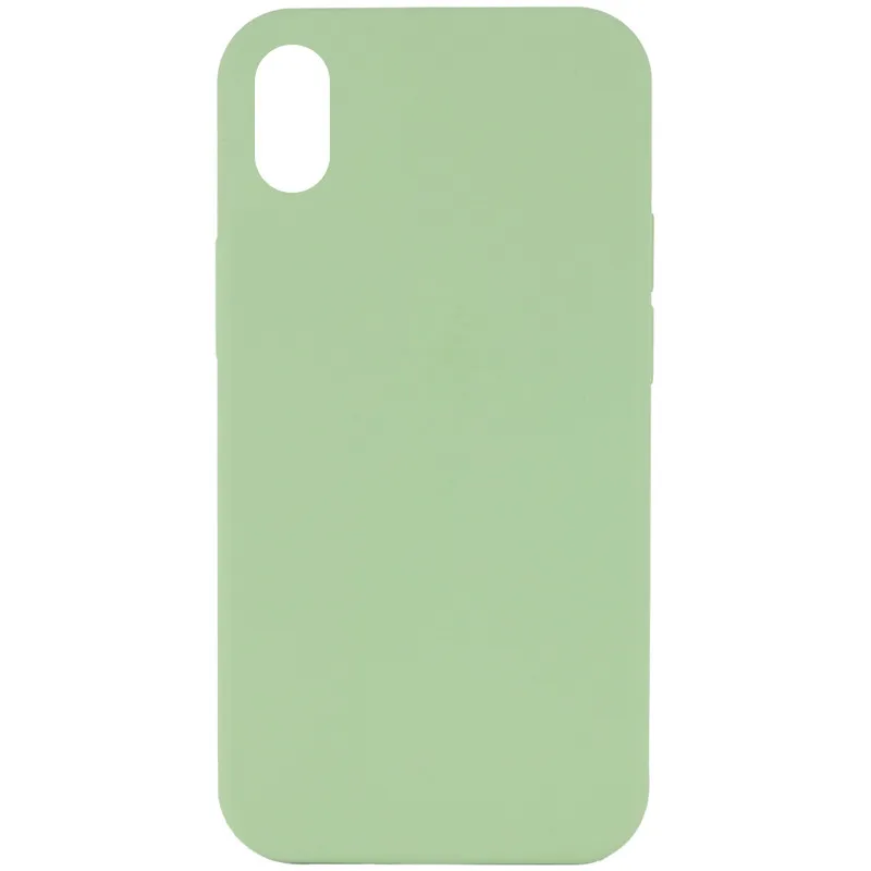 Чехол Silk Full Protective (AA) NO LOGO для Apple iPhone XR (6.1") – Мятный / Mint. Фото 1 из 3
