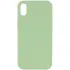 Чехол Silk Full Protective (AA) NO LOGO для Apple iPhone XR (6.1") – Мятный / Mint. Фото 1 из 3