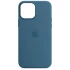 Чохол Silicone Case з закритим низом на Apple iPhone 16 Pro – Синій / Blue Jay. Фото 1 з 6