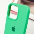 Чохол Silicone Case з закритим низом на Apple iPhone 14 Pro (6.1") – Зелений / Spearmint. Фото 7 з 9