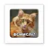 Стікер 3D до 5см Animal Collection – Всмислі?. Фото 1 з 6