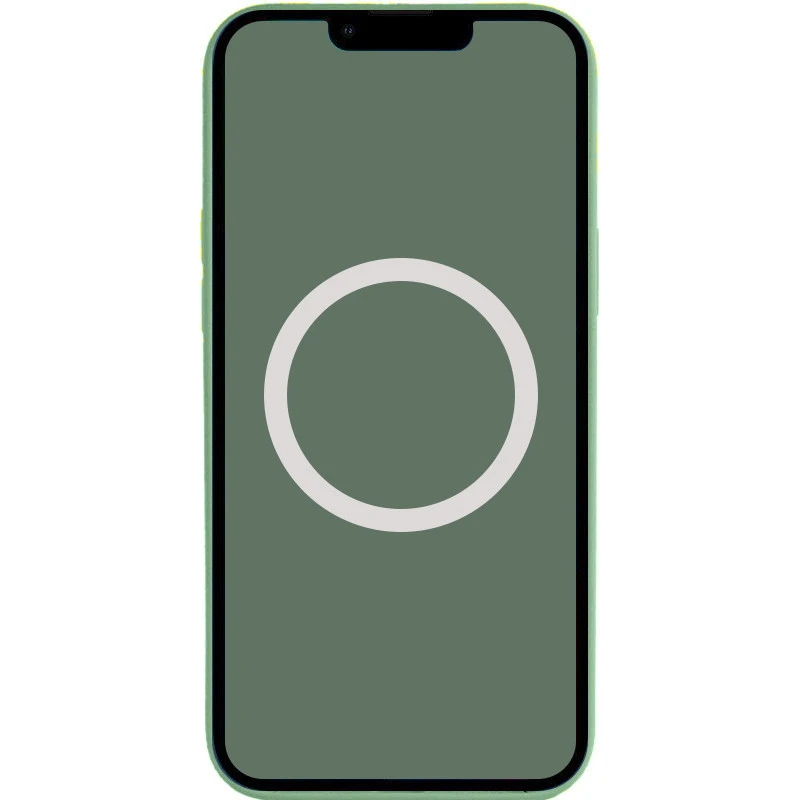 Чехол Silicone case (AAA) with Magsafe and Animation для Apple iPhone 13 (6.1") – Зеленый / Eucalyptus. Фото 3 из 3