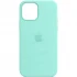 Шкіряний чохол Silicone Case Soft з MagSafe на Apple iPhone 13 Pro (6.1") – Ice. Фото 2 з 8
