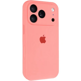 Чехол Silicone Case с защитой камеры для Apple iPhone 17 Pro Max (6.9") фото 1 из 1