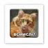 Стікер 3D до 5см Animal Collection – Всмислі?. Фото 2 з 6