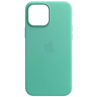 Шкіряний чохол Leather Case з MagSafe на Apple iPhone 14 (6.1") фото 1 з 9
