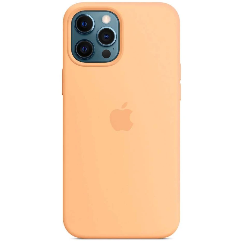 Чохол Silicone case Premium з Magsafe на Apple iPhone 12 (6.1") – Помаранчевий / Cantaloupe. Фото 1 з 1