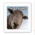 Стікер 3D до 5см Animal Collection – Ні бе ні ме. Фото 1 з 4