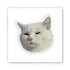 Стікер 3D до 5см Animal Collection – Serious Cat. Фото 2 з 4