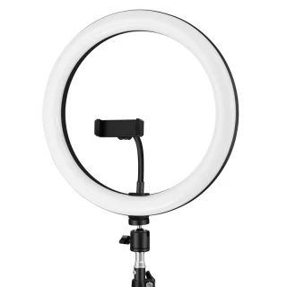 Кольцевая светодиодная LED лампа Arc Ring 10" + tripod 2.1m фото 1 из 10