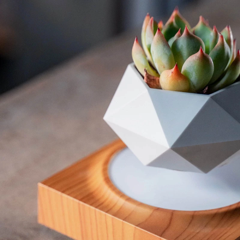 Магнітний левітаційний вазон для квітів HCNT Magnetic Levitating Pot M10-FP – Wood Grain. Фото 5 з 6