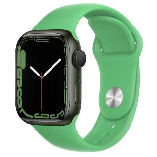 Ремешок Hoco WA01 Flexible series Apple watch (38/40/41mm) фото 1 из 2