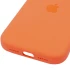 Чохол Silicone case (AAA) with Magsafe and Animation для Apple iPhone 17 Pro Max (6.9") – Orange. Фото 7 з 7