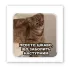 Стікер 3D до 5см Animal Collection – Все болить. Фото 2 з 6