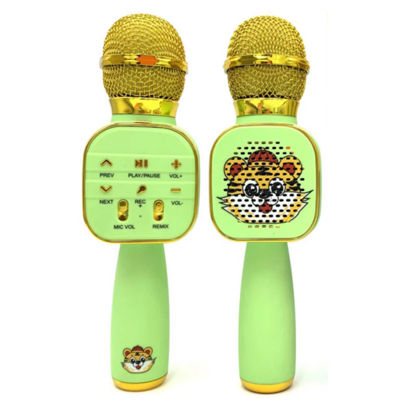 

Караоке Мікрофон-колонка GDS006 (Green)