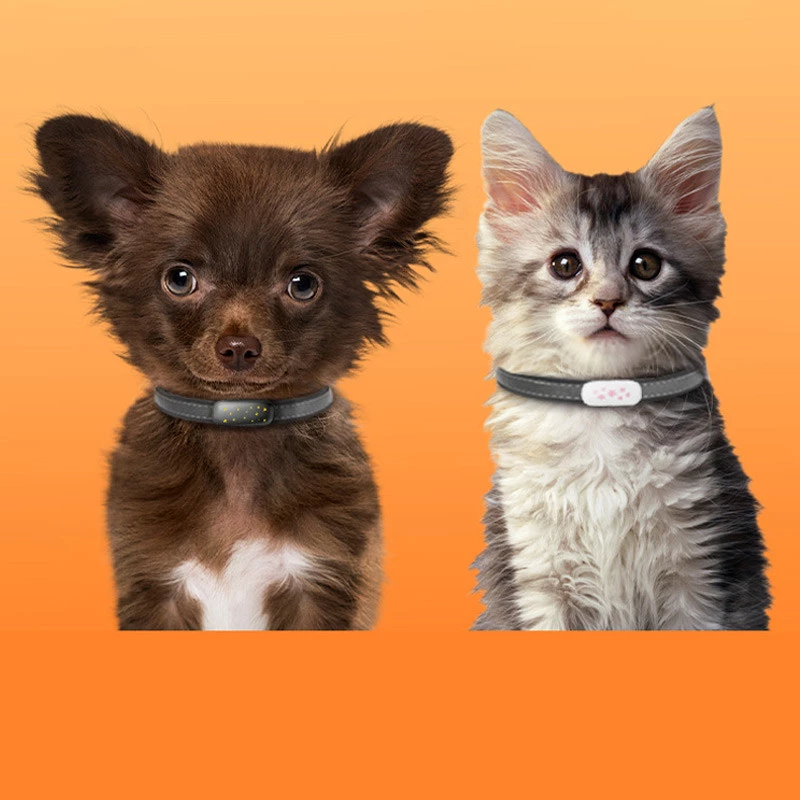 Трекер GPS для тварин V53 Pet Tracker SIM (4GLTE) 900mAh фото 2 з 3