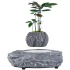 Магнітний левітаційний горщик для квітів HCNT Magnetic Levitating Pot M5B-P – Gray. Фото 2 з 6