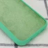 Чехол с закрытым низом Silicone Case для Apple iPhone 15 (6.1") – Зеленый / Spearmint. Фото 3 из 3