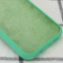 Чохол з закритим низом Silicone Case на Apple iPhone 15 Pro Max (6.7") – Зелений / Spearmint. Фото 4 з 6