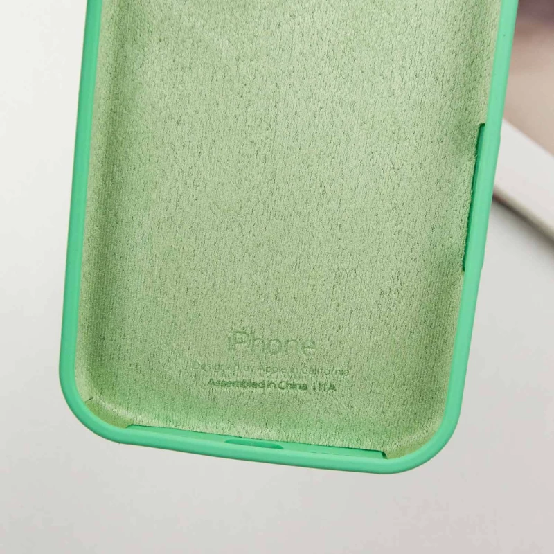 Чохол Silicone Case з закритим низом на Apple iPhone 13 Pro Max (6.7") – Зелений / Spearmint. Фото 9 з 9