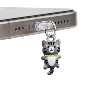 Заглушка силіконова Type-C з подвеской IP44 фото 1 з 2