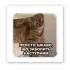 Стікер 3D до 5см Animal Collection – Все болить. Фото 1 з 6