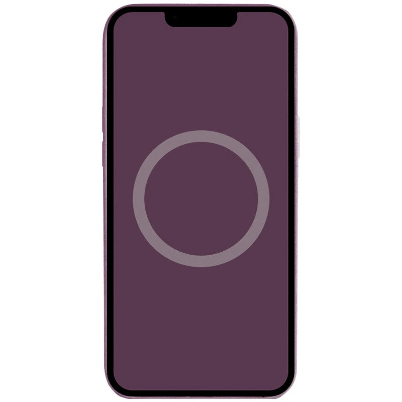 Чохол Silicone case (AAA) with Magsafe and Animation для Apple iPhone 16 Pro – Plum. Фото 3 з 4