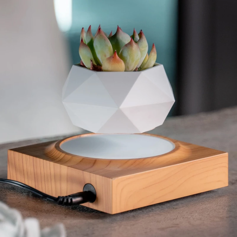 Магнітний левітаційний вазон для квітів HCNT Magnetic Levitating Pot M10-FP – Wood Grain. Фото 2 з 6