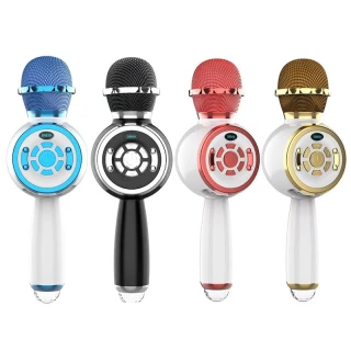 Караоке Мікрофон-колонка DS810 фото 1 з 1