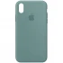 Чохол Silicone Case з закритим низом на Apple iPhone XS (5.8") – Зелений / Cactus. Фото 1 з 1