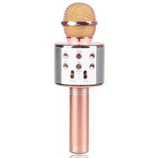 Караоке Мікрофон-колонка WS858 фото 1 з 8