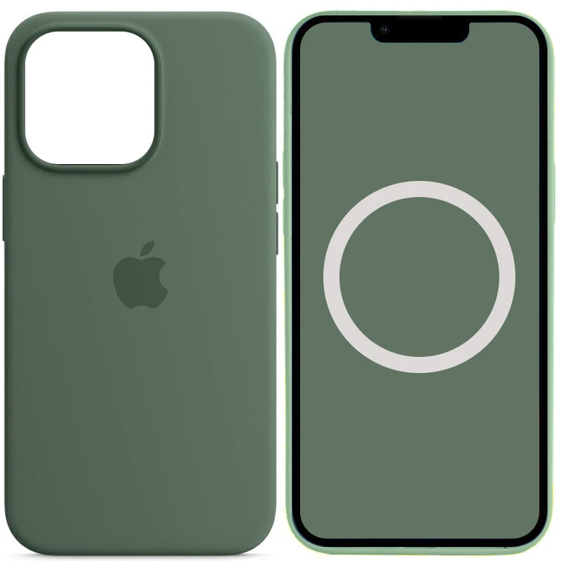 Чохол Silicone case (AAA) with Magsafe and Animation для Apple iPhone 13 Pro (6.1") – Зелений / Eucalyptus. Фото 1 з 3