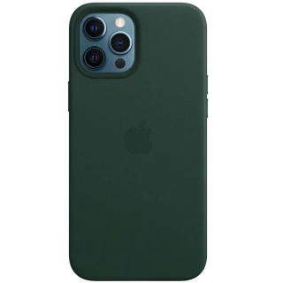 Шкіряний чохол Silicone Case Premium з MagSafe на Apple iPhone 12 Pro Max (6.7") — Forest Green