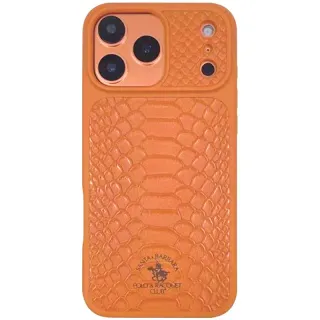 Кожаная накладка Santa Barbara Polo & Racquet Club Series Knight для Apple iPhone 17 Pro Max (6.9") фото 1 из 1