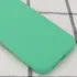 Чохол Silk Full Protective (AA) NO LOGO для Apple iPhone 11 Pro Max (6.5") – Зелений / Spearmint. Фото 2 з 3