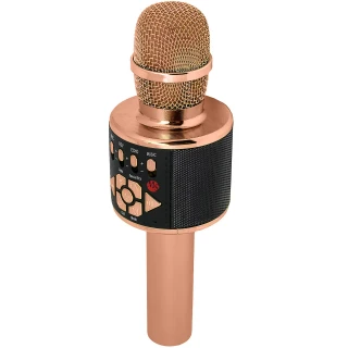 Караоке Мікрофон-колонка D169 фото 1 з 1