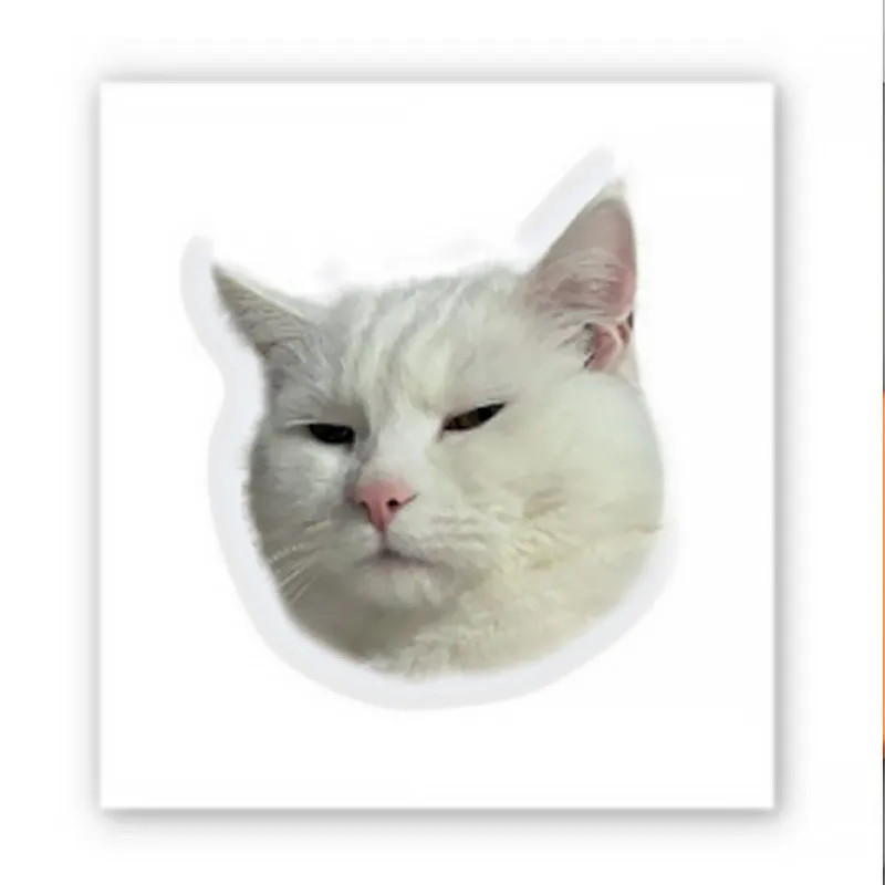 Стікер 3D до 5см Animal Collection – Serious Cat. Фото 1 з 4