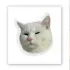 Стікер 3D до 5см Animal Collection – Serious Cat. Фото 1 з 4