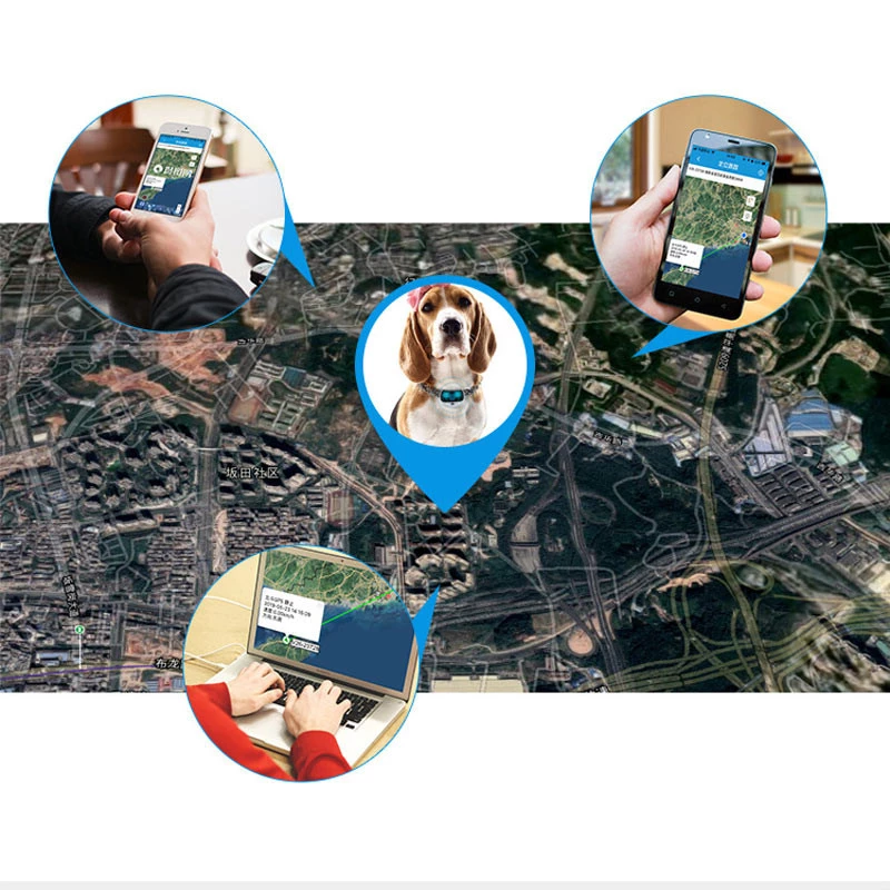 Трекер GPS для тварин V43 Pet Tracker SIM (4GLTE+3GWCDMA+2GGSM) 1300mAh – White. Фото 7 з 7