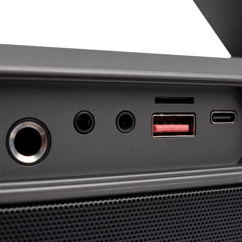 Bluetooth Колонка Amaya ASP-150 Two-person 150W + два мікрофона – Black. Фото 7 з 10